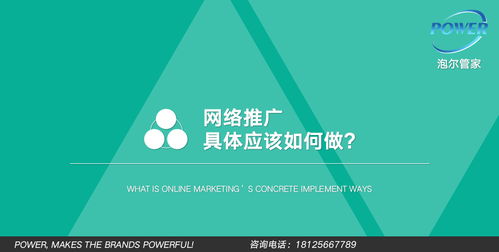 网络推广与网络工程 策略、实施与优化